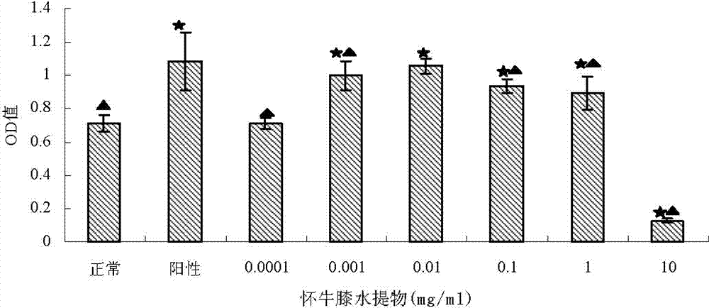 Application of twotooth achyranthes aqueous extract to preparation of estrogen medicines