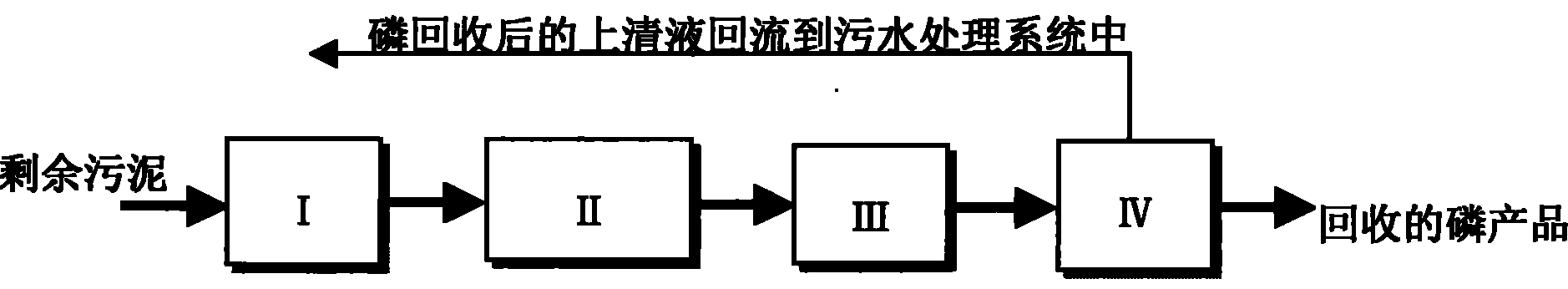 Method for recovering sludge phosphorus from urban sewage treatment plant