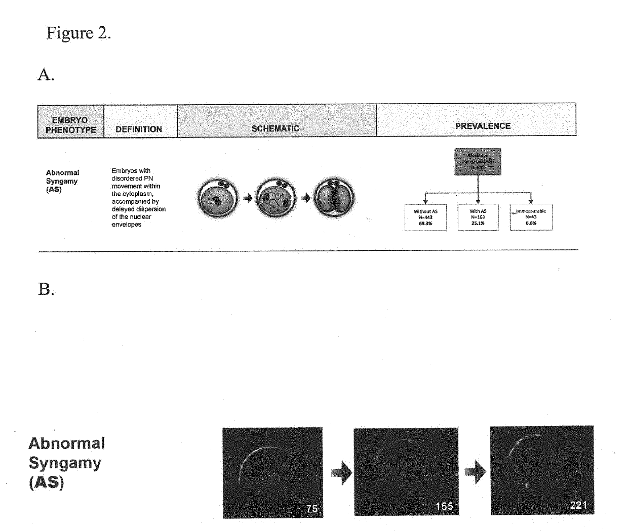 Abnormal syngamy phenotypes observed with time lapse imaging for early identification of embryos with lower development potential