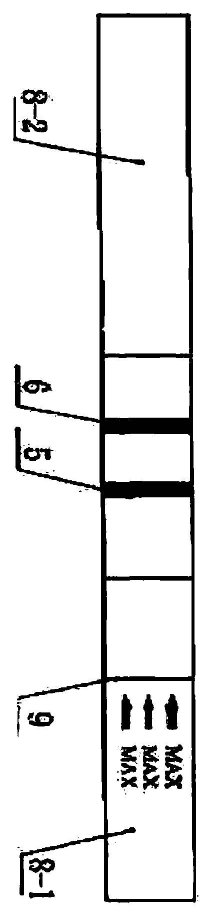 Test paper strip for quick detection of tolclofos-methyl by colloidal gold and preparation method of test paper strip