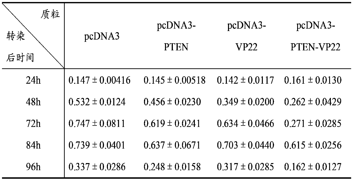 Anti-tumor phosphatase and tensin homolog deleted on chromosome ten (PTEN)-VP22 gene