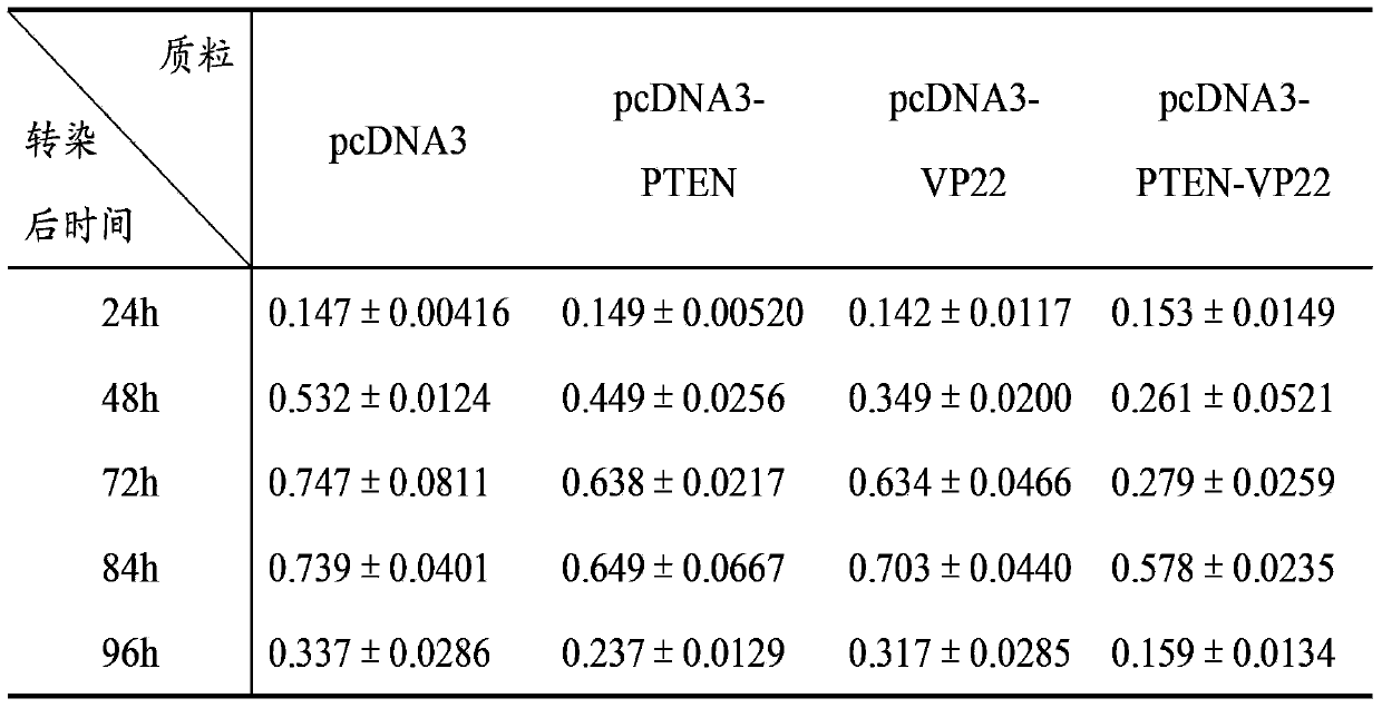 Anti-tumor phosphatase and tensin homolog deleted on chromosome ten (PTEN)-VP22 gene
