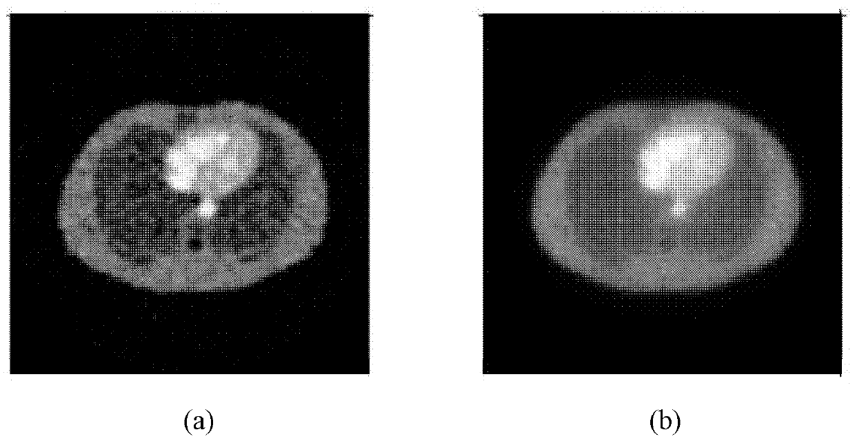 Particle filtering-based method of reconstructing static PET (Positron Emission Tomograph) images