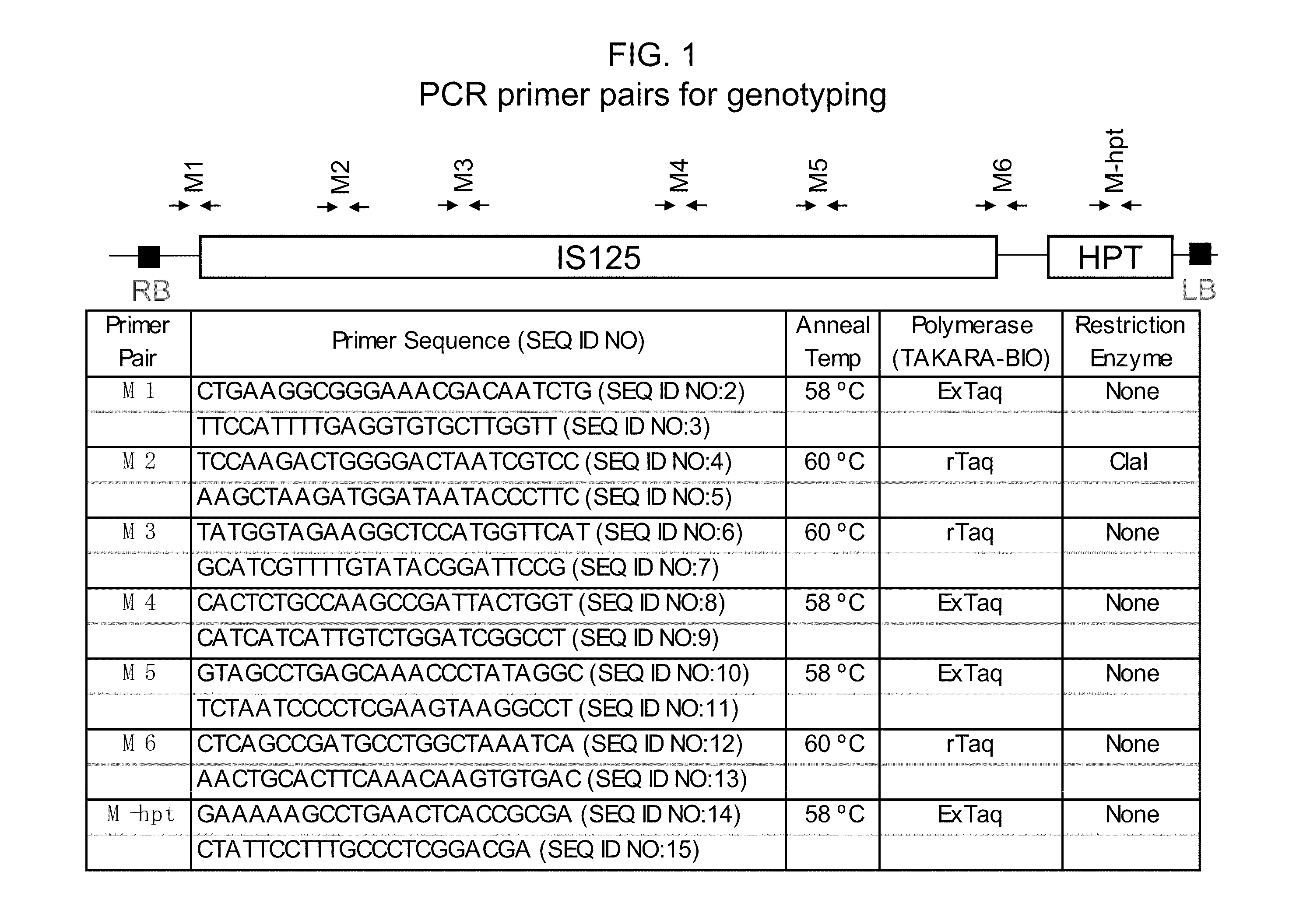Drought tolerant plants and related constructs and methods involving genes encoding dtp21 polypeptides