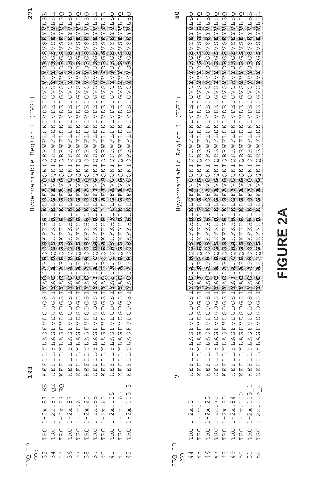 Genetically-modified cells comprising a modified human t cell receptor alpha constant region gene