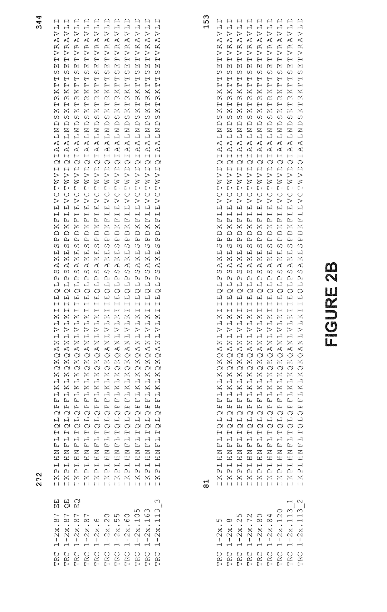 Genetically-modified cells comprising a modified human t cell receptor alpha constant region gene