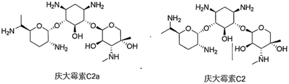 Gentamicin sulfate prepared through enhanced microbial fermentation, and application method of gentamicin sulfate