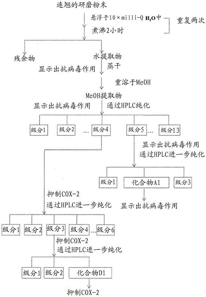 Methods and substances for the prevention and treatment of viral infections