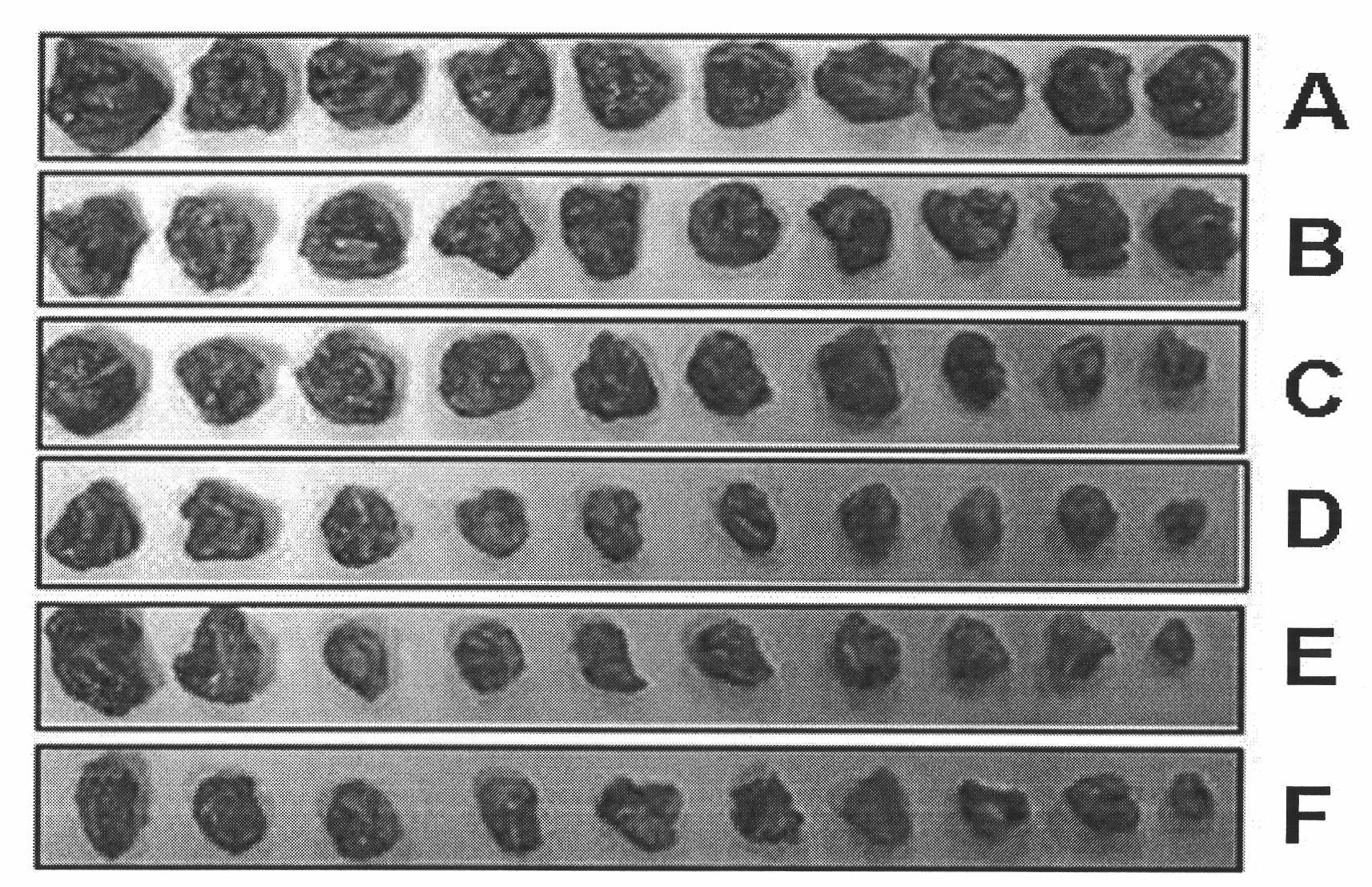 Application of composite of sweet wormwood herb and turtle shell in preparing antitumor medicine