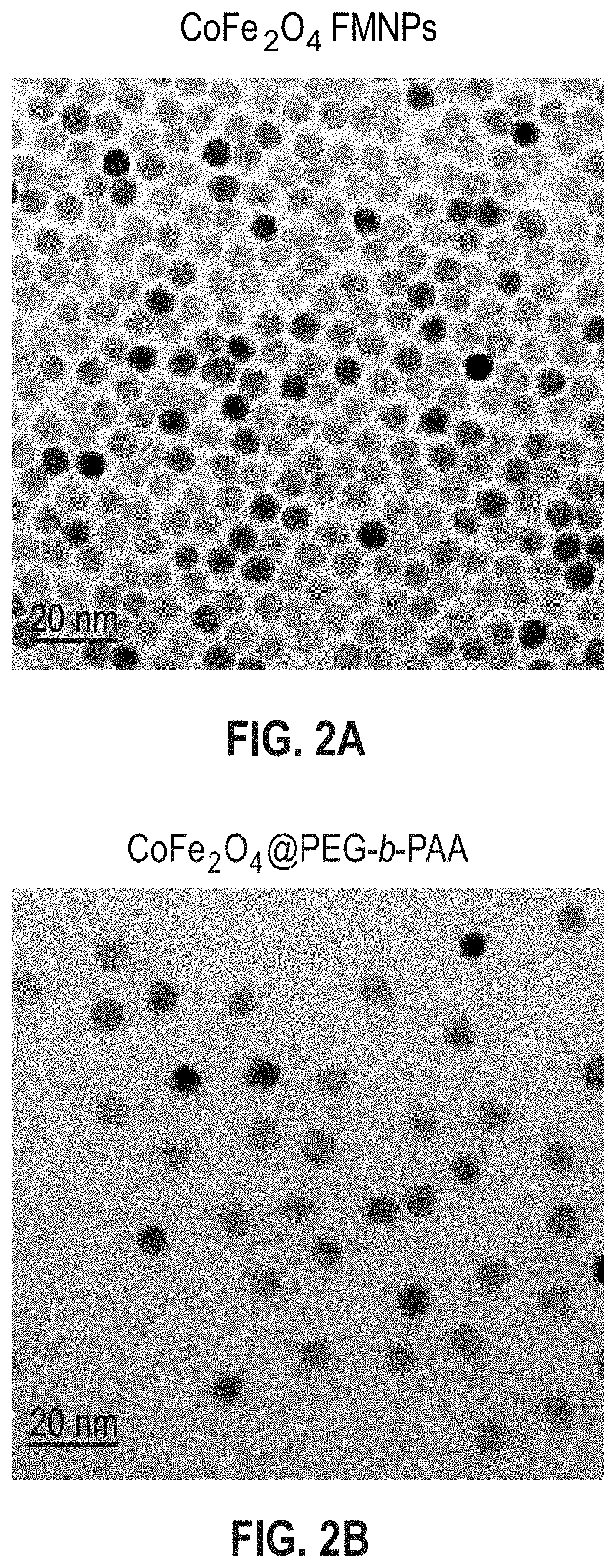 Aqueous soluble ferrimagnets stabilized by block copolymers