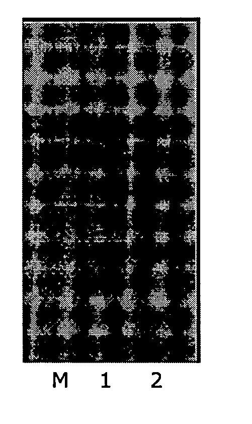 Compositions monovalent for CD40L binding and methods of use