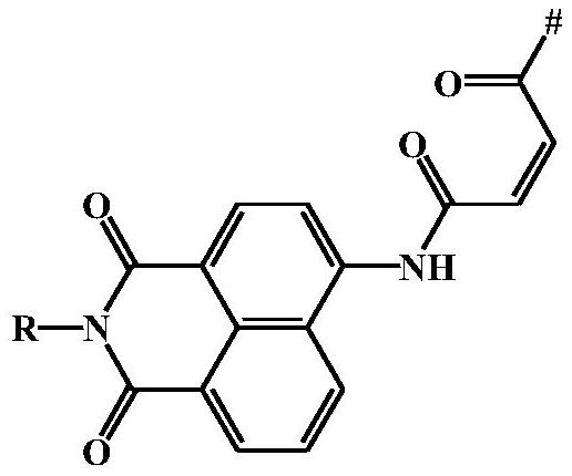 A kind of polymer fluorescent probe and its application