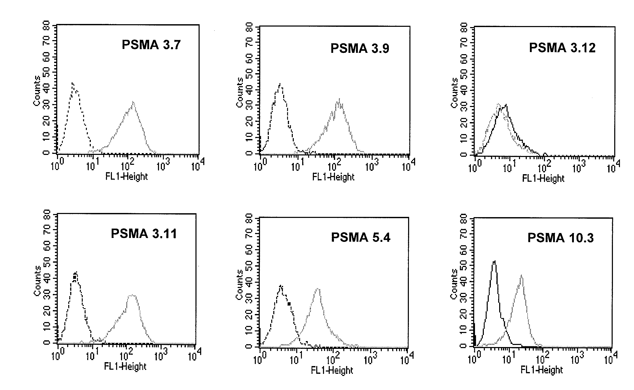 Compositions of PSMA antibodies