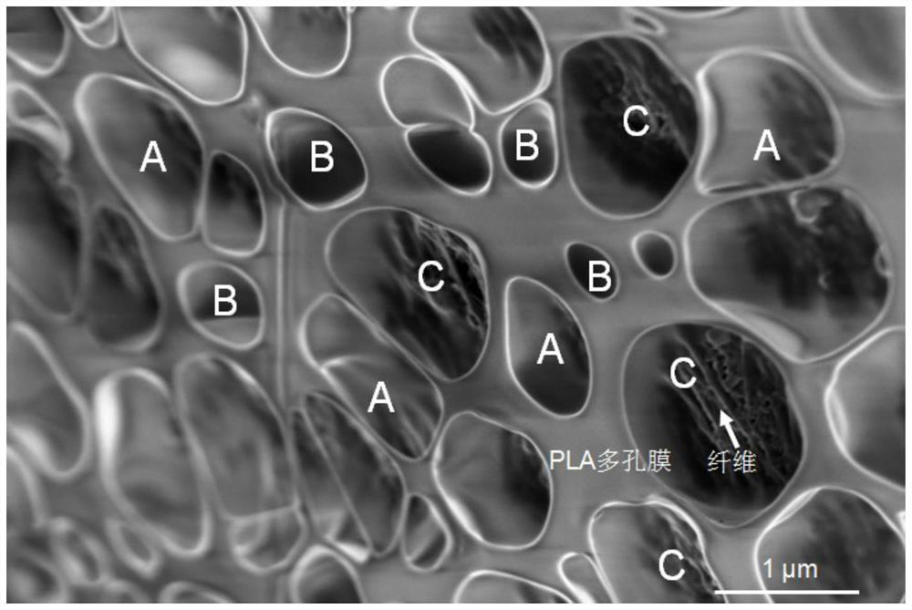 A kind of preparation method of polylactic acid fiber composite surface porous membrane material