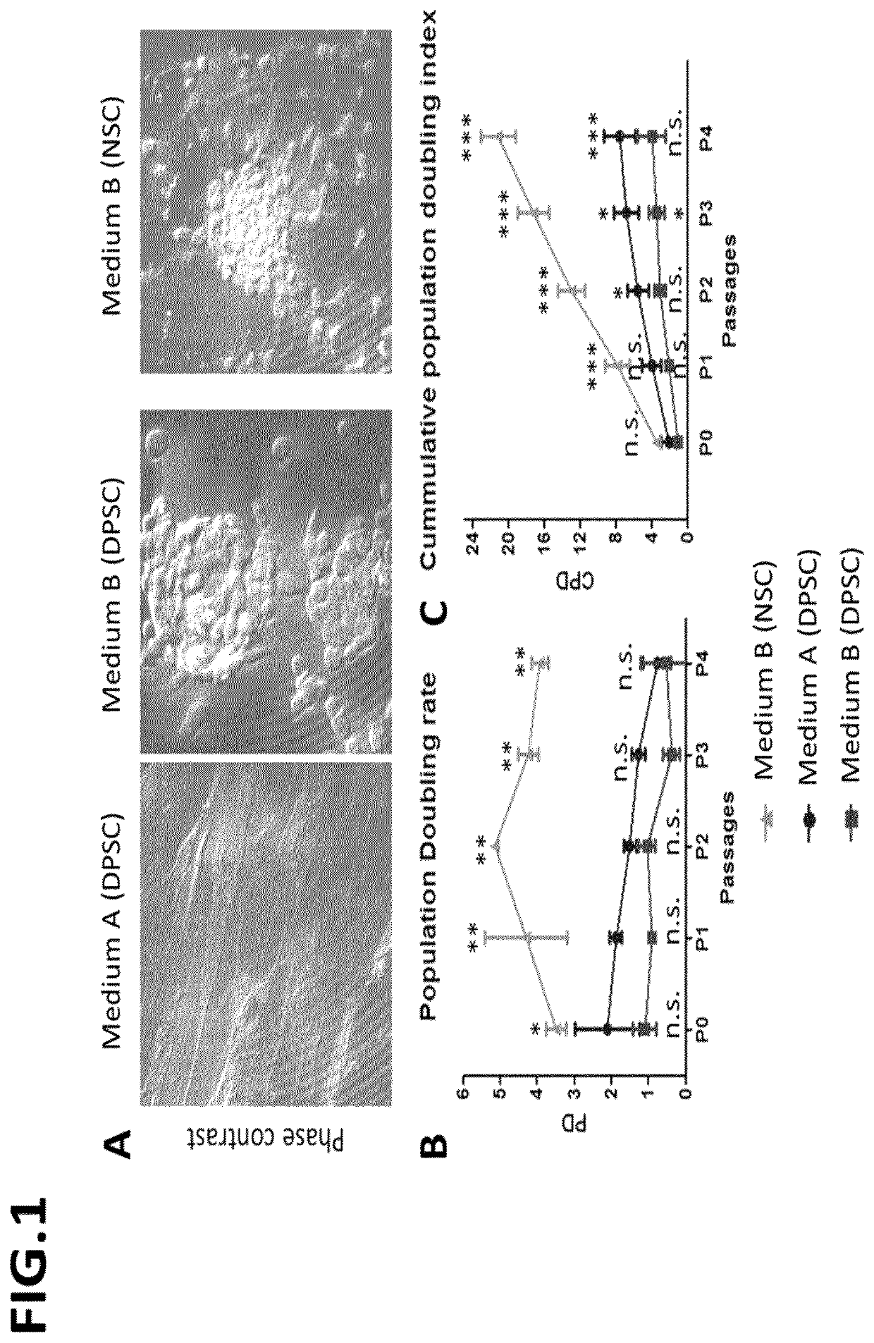 Cellular aggregates for use in vascularisation therapy