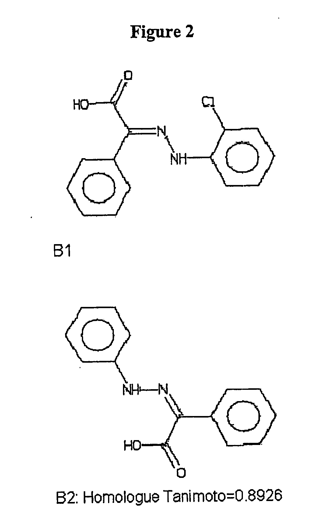 Methods for screening antimicrobial and antiviral compounds and uses thereof