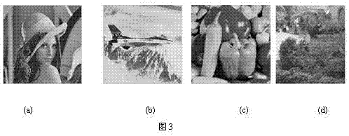 Dual-color image blind watermarking method based on QR decomposition and compensation