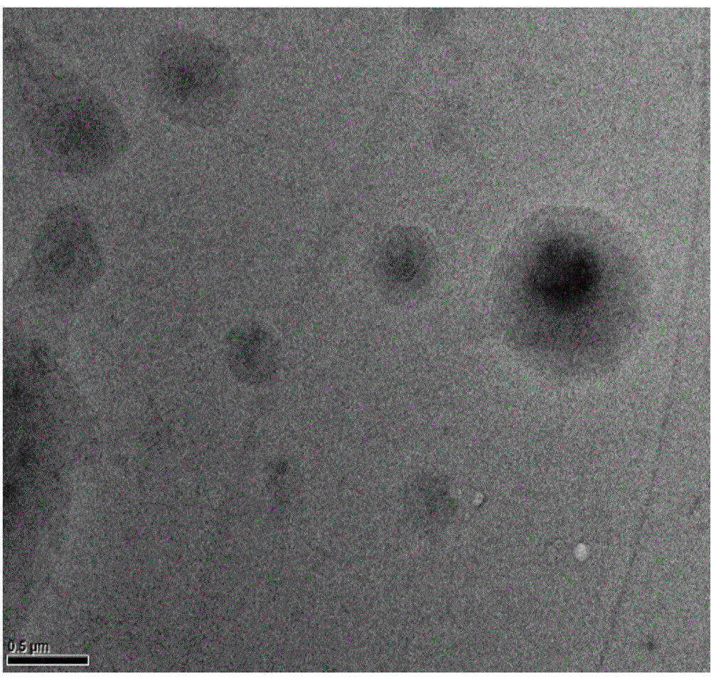 Novel insulin-phospholipid-chitosan self-assembled microparticle carrier and preparation thereof