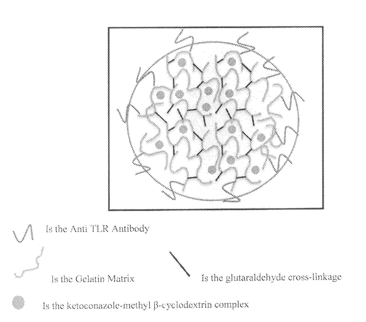 Protein nanostructure based drug delivery system for the delivery of therapeutic agents to the anterior segment of the eye