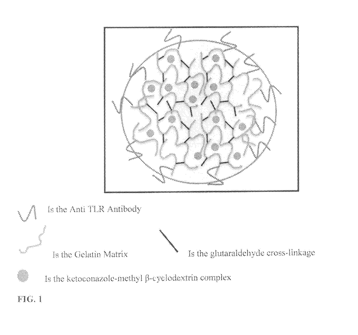 Protein nanostructure based drug delivery system for the delivery of therapeutic agents to the anterior segment of the eye