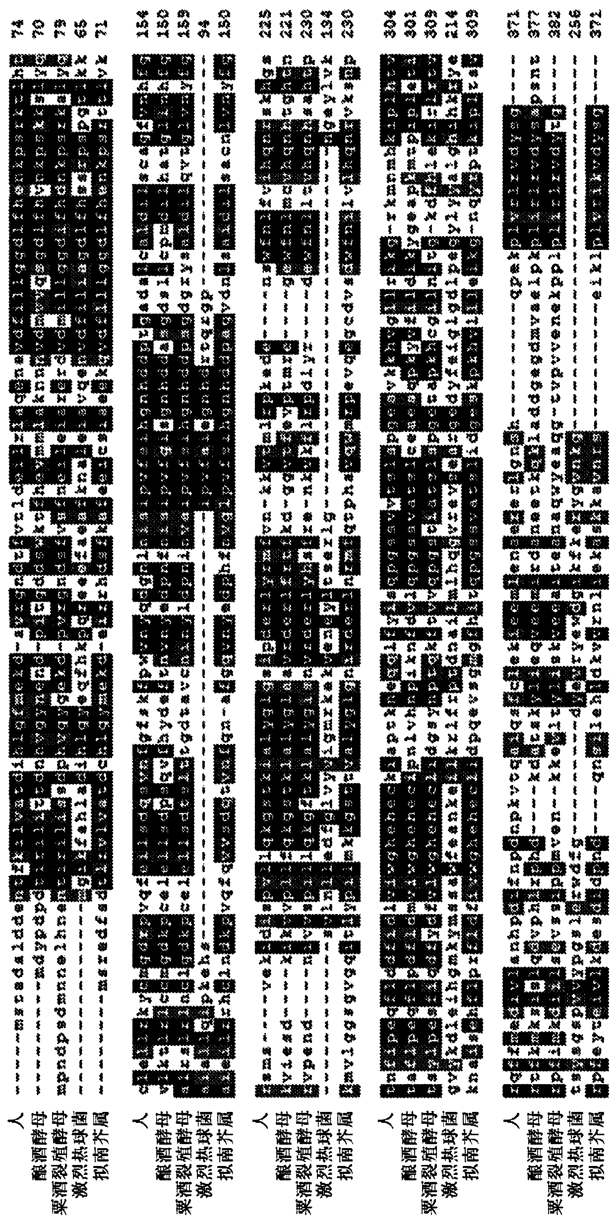 Combinational strategy for reducing ransom integration events when transfecting plants