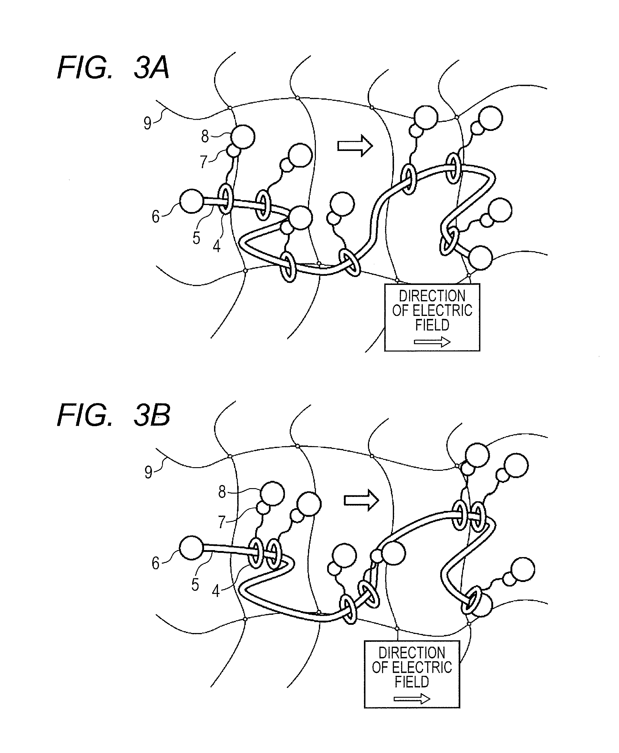 Charging member, electrophotographic process cartridge, and  electrophotographic apparatus