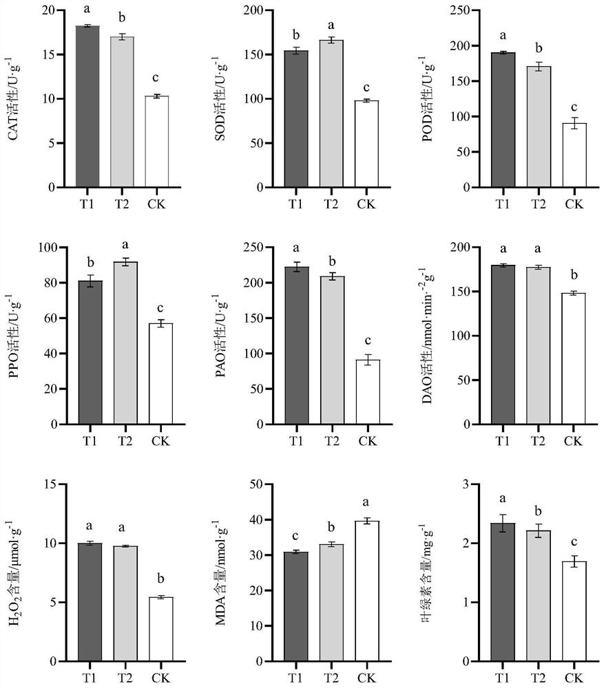 Pseudomonas compound microbial agent and application thereof in disease resistance, yield increase and quality improvement of angelica sinensis