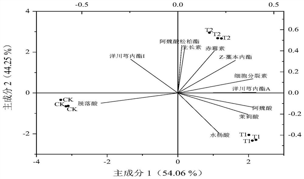 Pseudomonas compound microbial agent and application thereof in disease resistance, yield increase and quality improvement of angelica sinensis