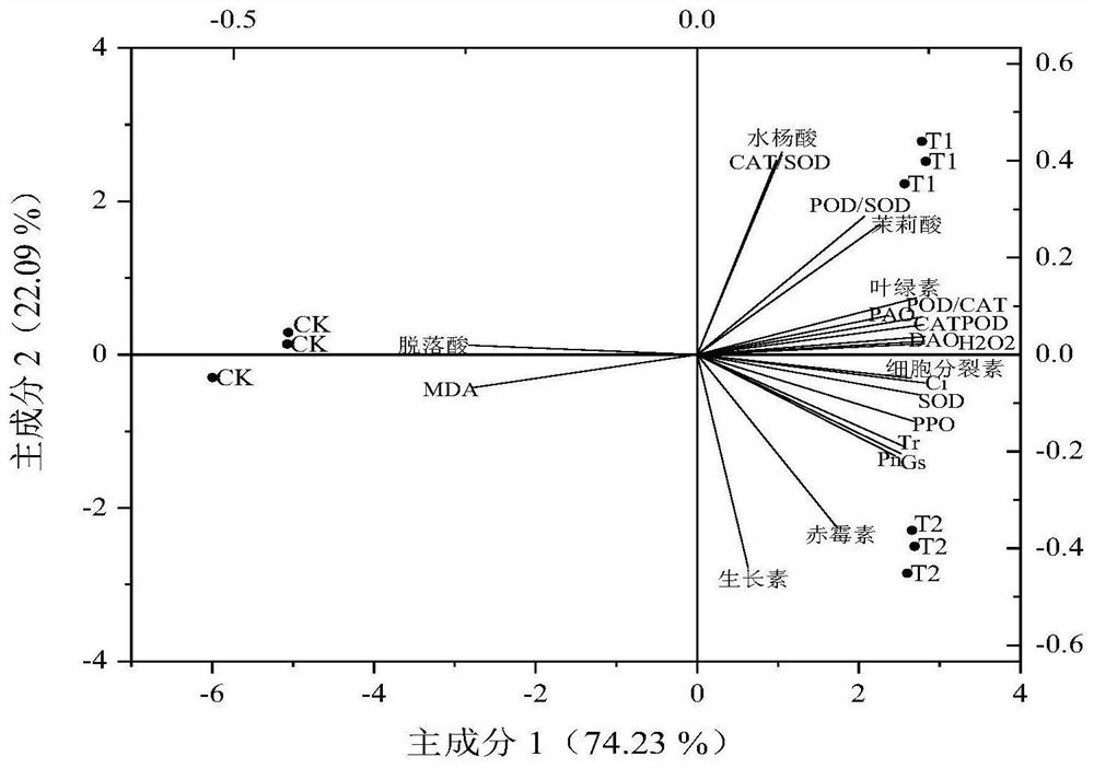 Pseudomonas compound microbial agent and application thereof in disease resistance, yield increase and quality improvement of angelica sinensis