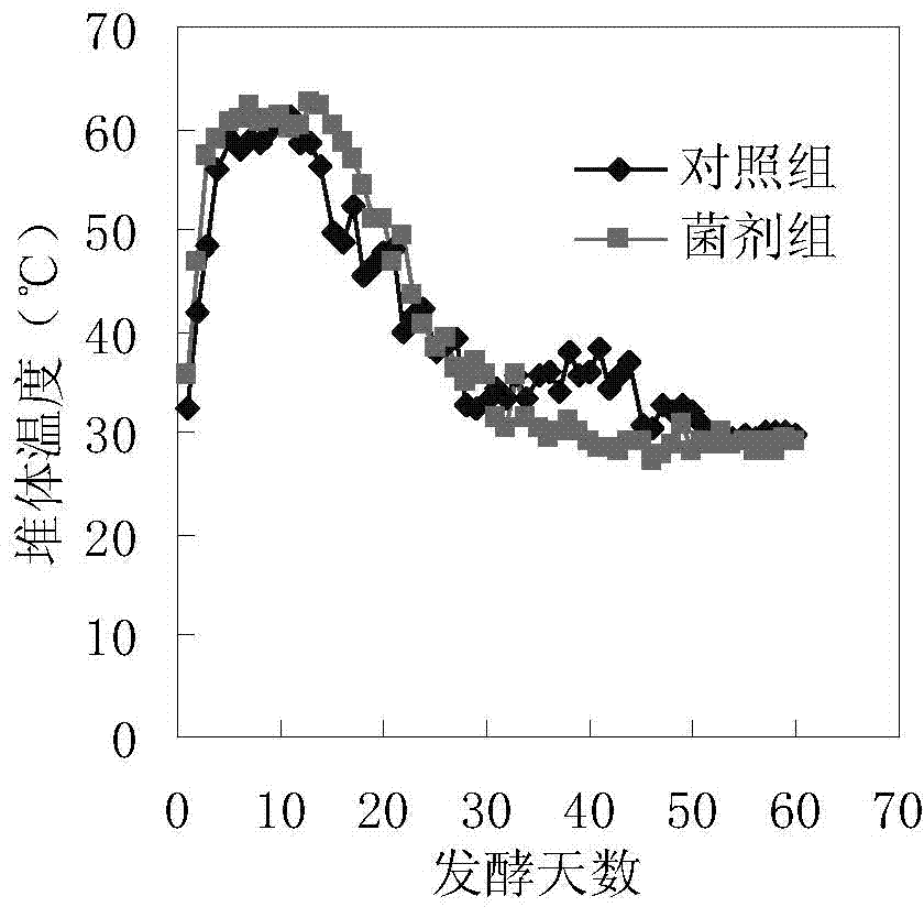 High-temperature compost decay-promoting bacterial compound inoculant and applications thereof