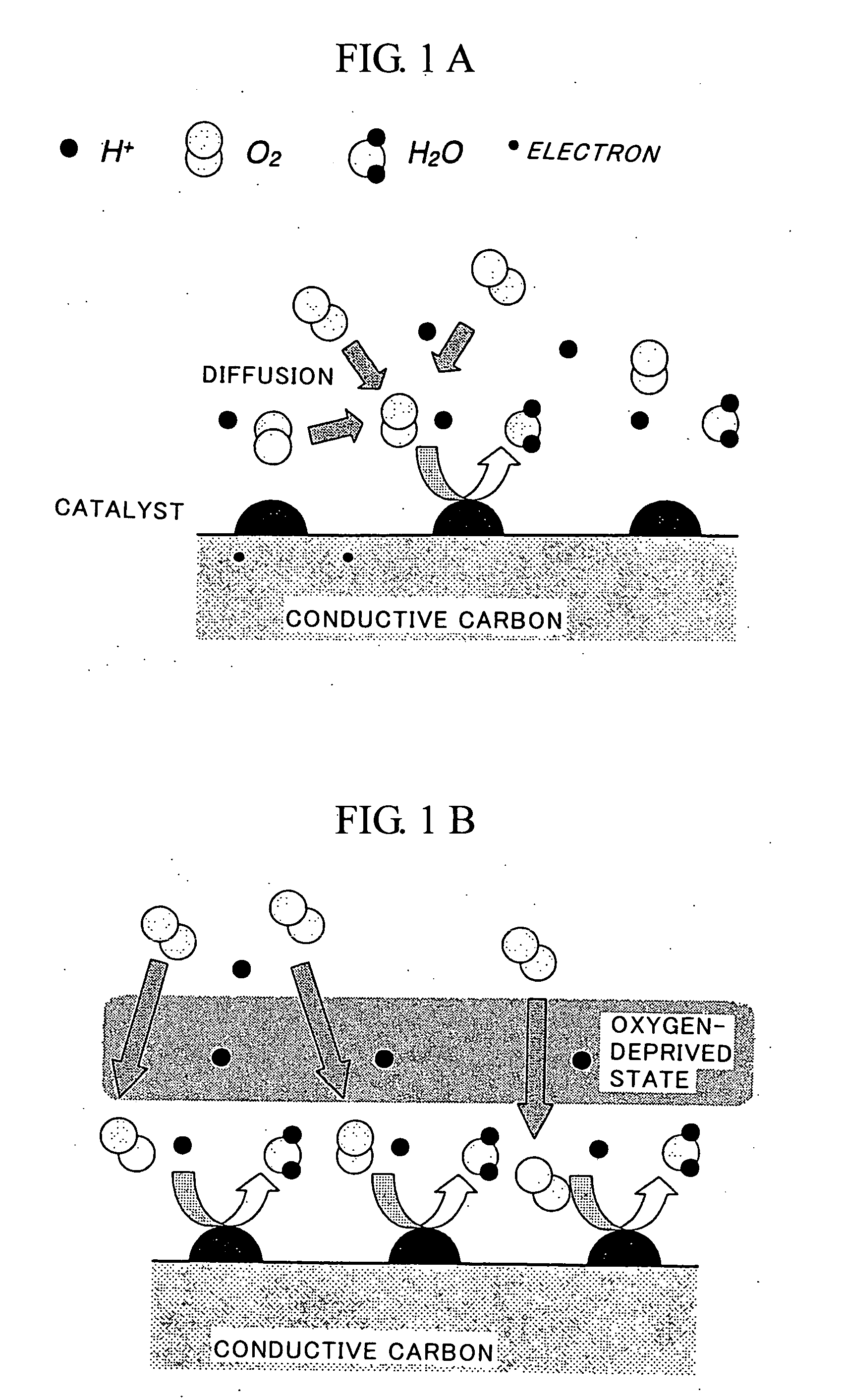 Fuel Cell Cathode and a Polymer Electrolyte Fuel Cell Having the Same