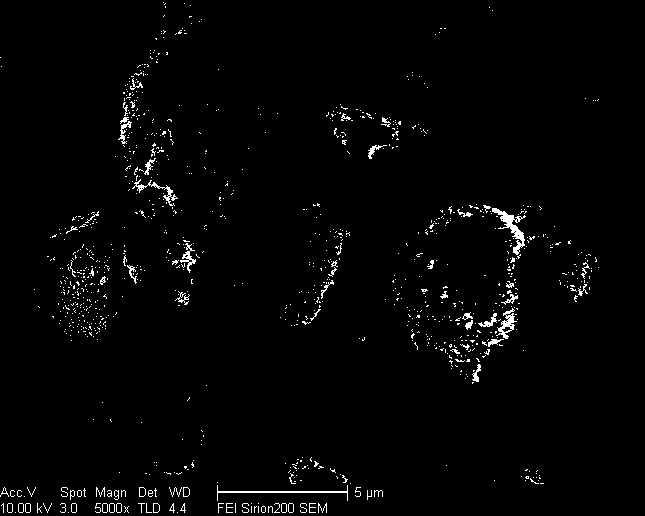 A preparation method of porous hydroxyapatite particles for deep adsorption of copper ions in solution