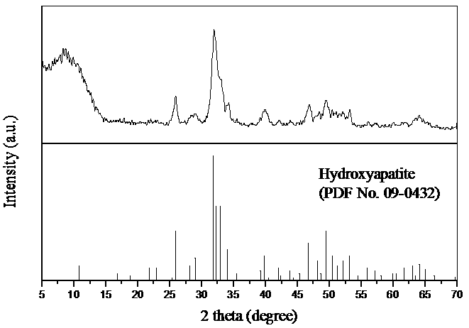 A preparation method of porous hydroxyapatite particles for deep adsorption of copper ions in solution