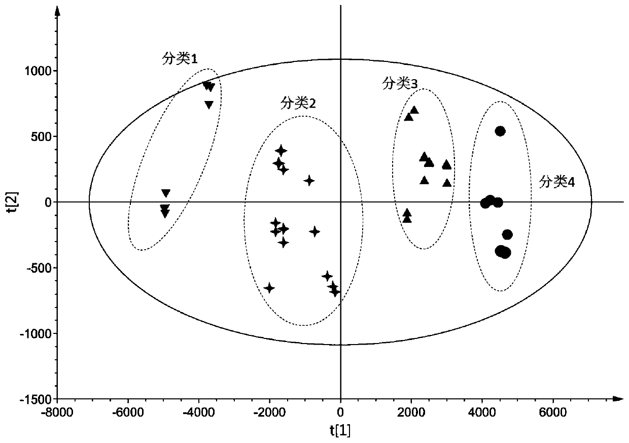 Method for detecting quality level of traditional Chinese medicine