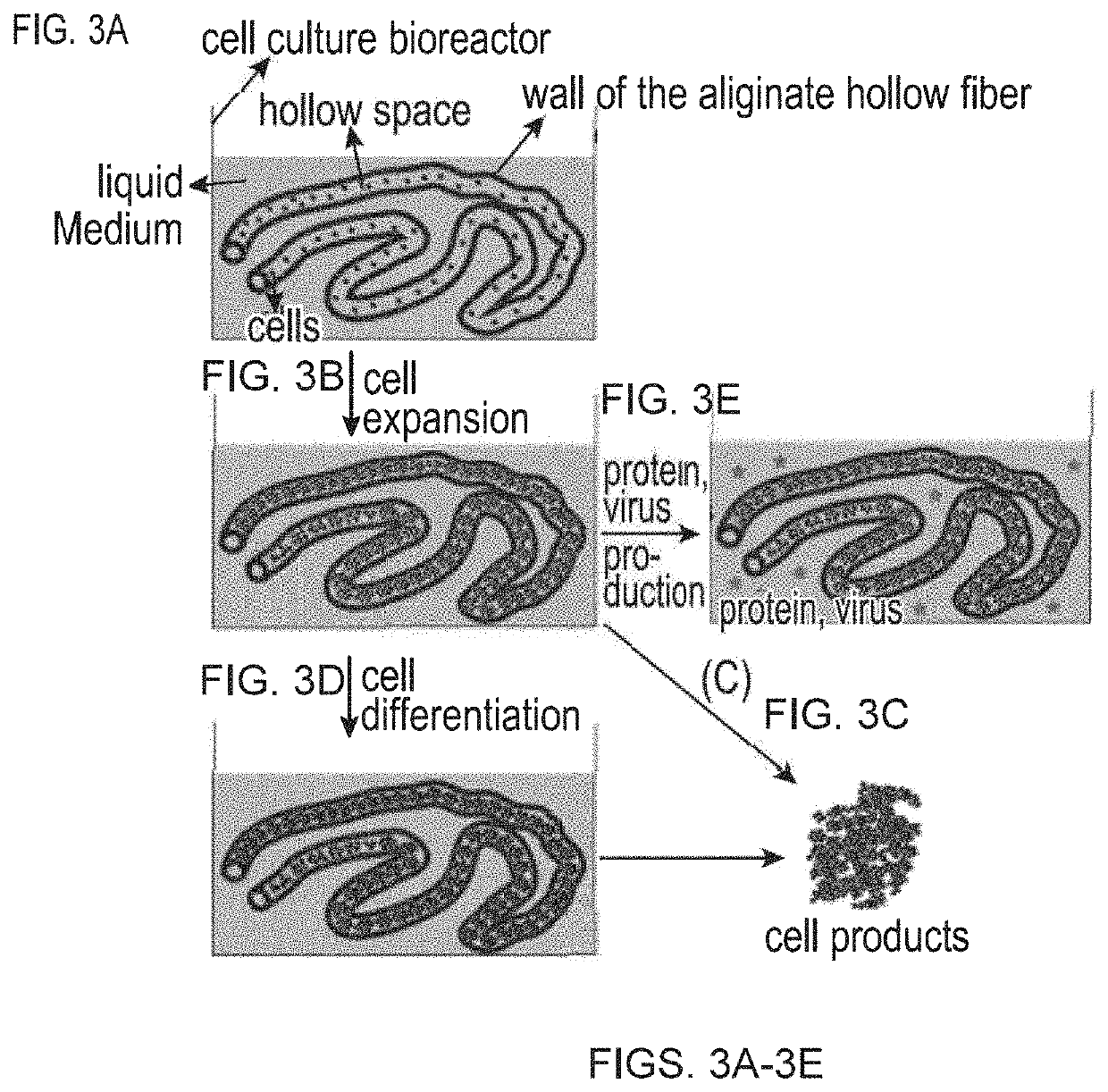 Large scale cell manufacture system