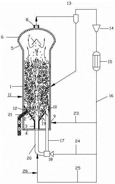 Spouted bed reactor and olefin polymerization method thereof