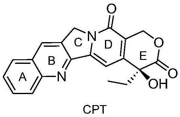 Acid-sensitive camptothecin-site 20 norcantharidate derivative and antineoplastic application thereof