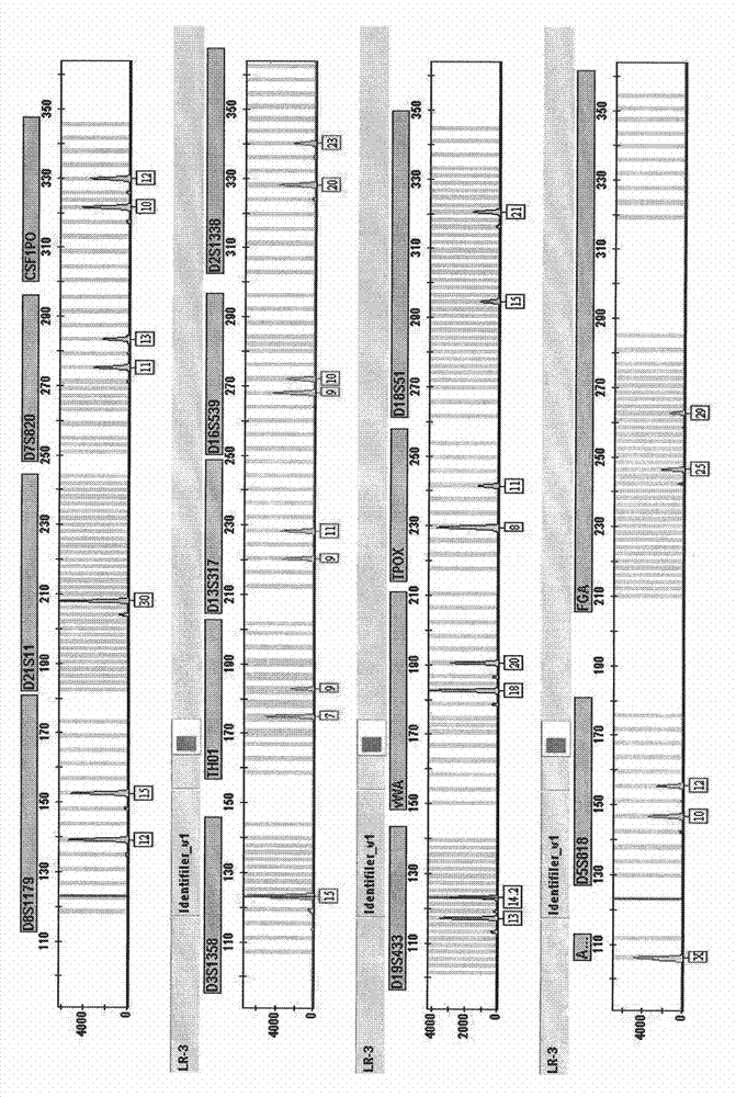 Identification method of nucleated cells and application thereof