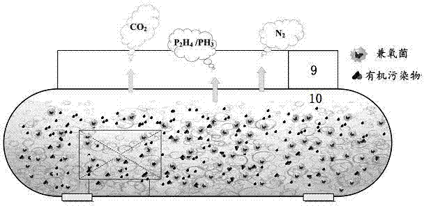 Method for processing food processing wastewater by adopting facultative membrane bioreactor and facultative membrane bioreactor
