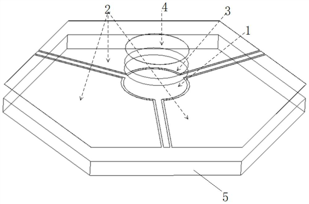 Coplanar waveguide type microwave ferrite circulator, preparation method and design method