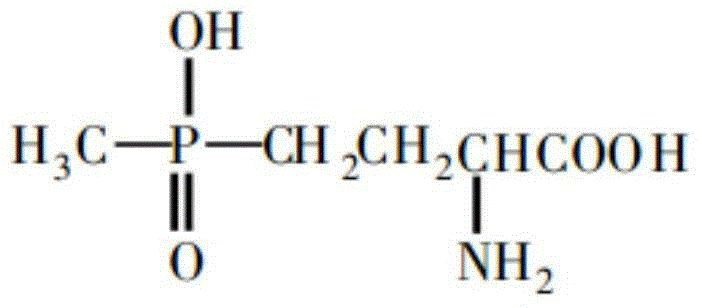 A kind of method for preparing glufosinate-ammonium
