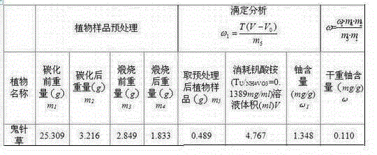 Method for detecting uranium content of plant body