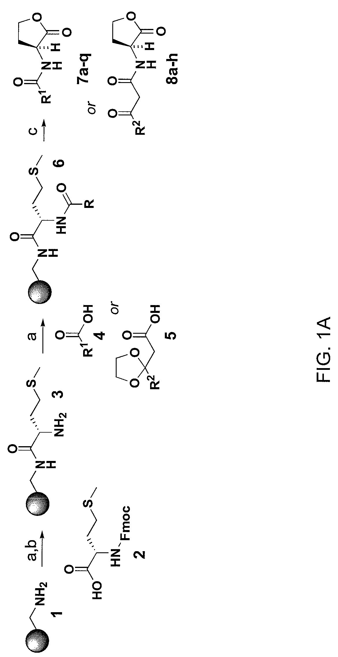 Compounds and methods for modulating communication and virulence in quorum sensing bacteria