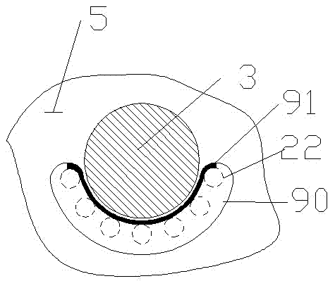 Nut protein extraction device with air blowing strip and feeding sensor