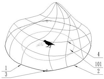 Directional trapping system and trapping method for birds