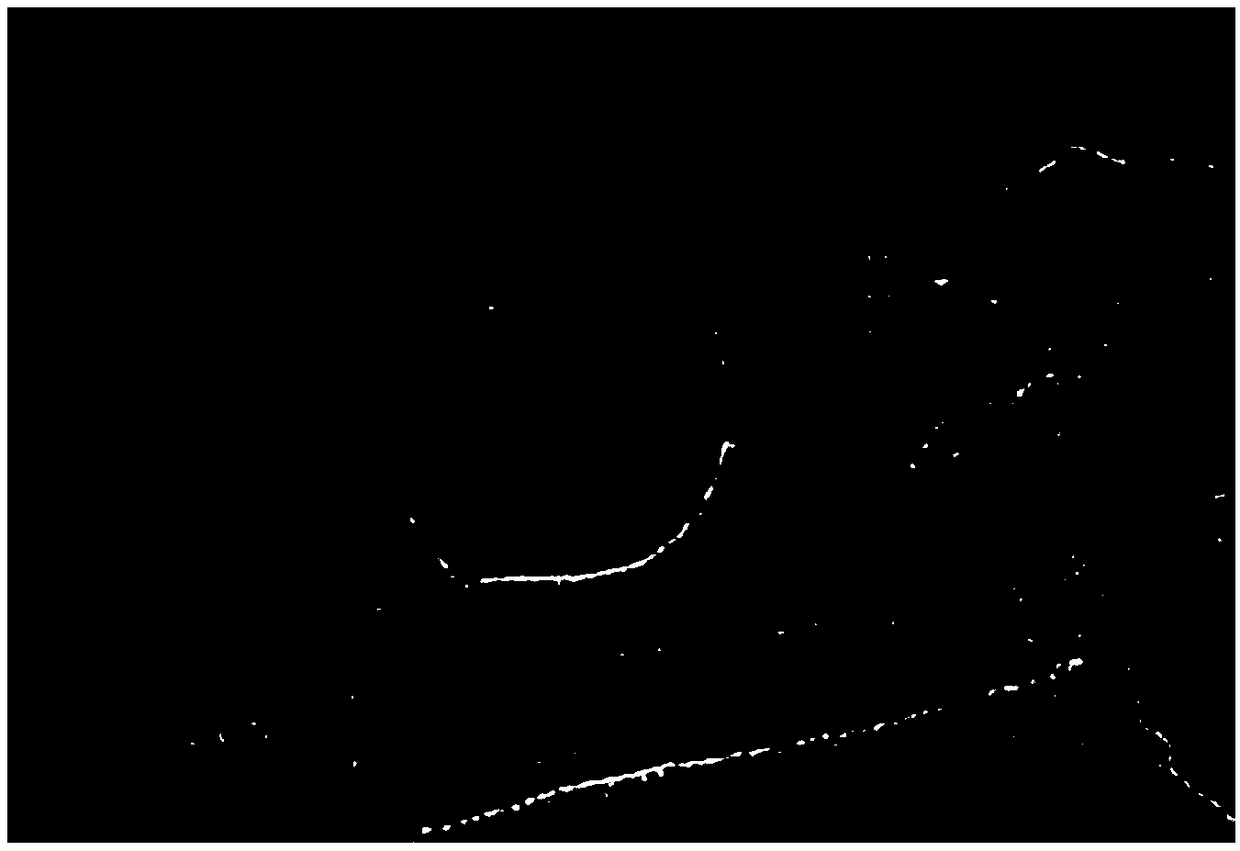 Porous graphene bacteriostatic material and preparation method thereof