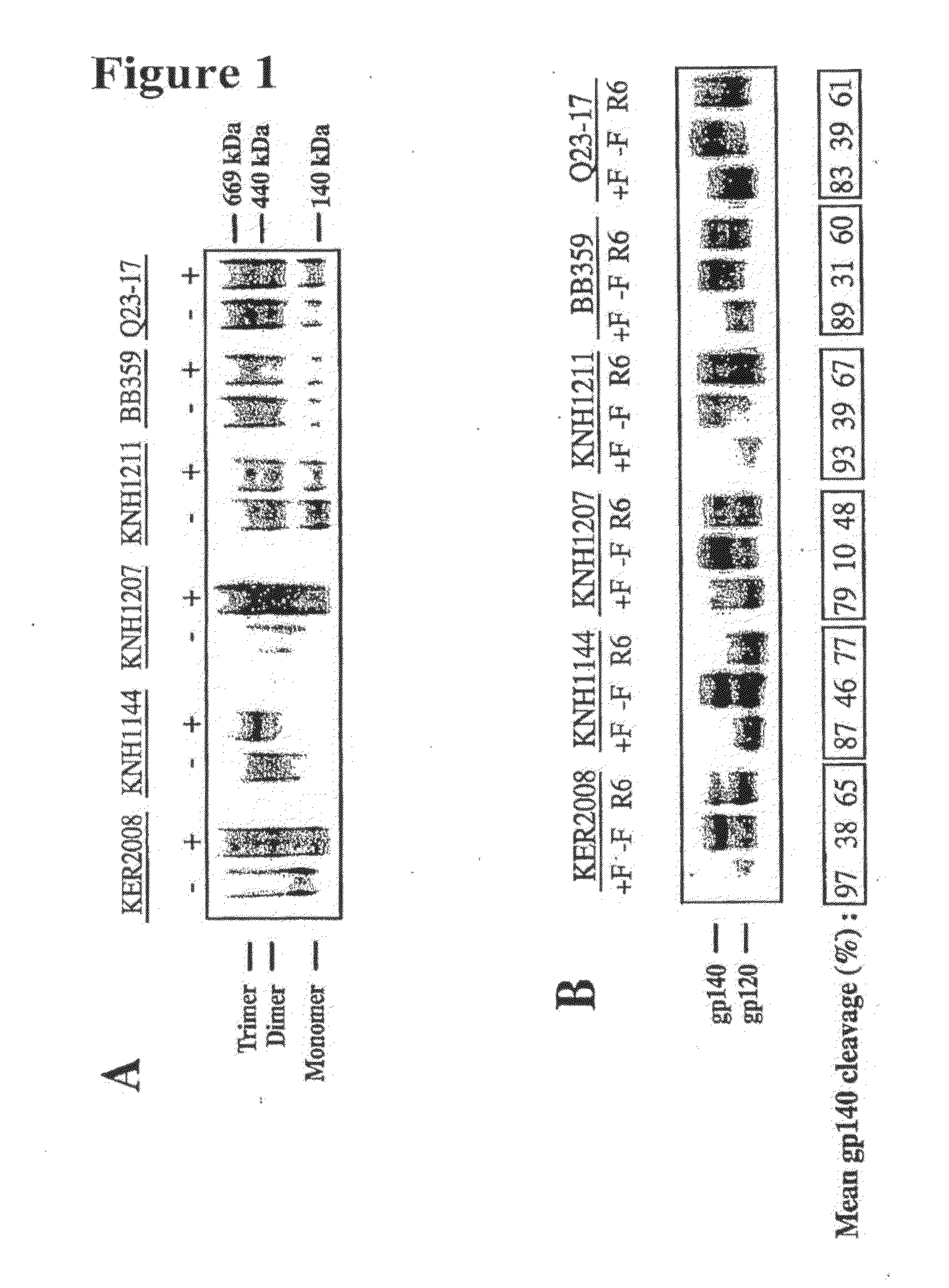 Soluble stabilized trimeric hiv env proteins and uses thereof