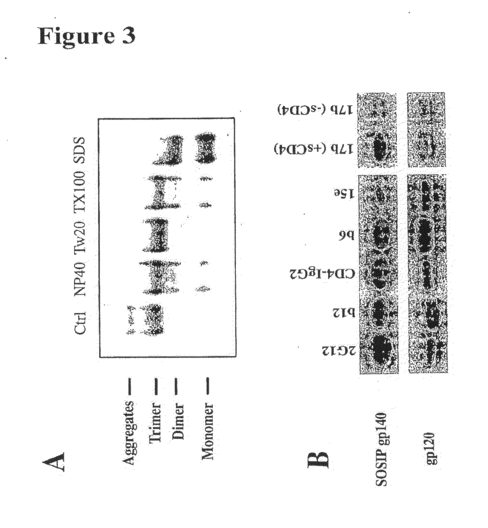 Soluble stabilized trimeric hiv env proteins and uses thereof