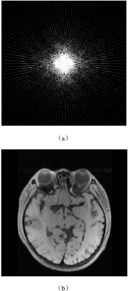 Compressed sensing nuclear magnetic resonance imaging method based on deep neural network