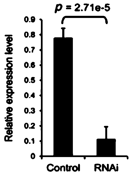 Method for increasing content of carotenoid in patinopecten yessoensis